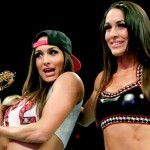 Nikki & Brie Bella Enjoy a Day at the Beach