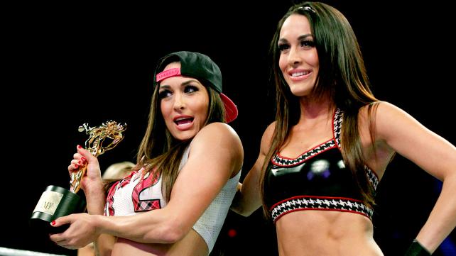 Nikki & Brie Bella Enjoy a Day at the Beach