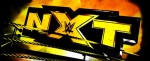 WWE NXT Review – July 22nd, 2015
