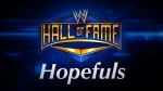 Hall of Fame Hopefuls – Part One: Tag Teams